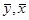 ���� 24545-81