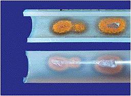 ������ Thermotech Midi Composite