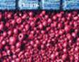 hightech pigments ����������� ��������� ������������� ����� ��� ��������� ���������