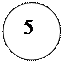 ����:  5