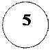 ����:   5