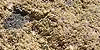 ���� �������� ���������� �������� Rosser ���-1���