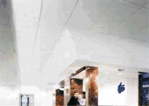 Ecophon Wall Panels