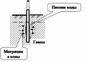 � 19  ����������� ������� ����������� ����