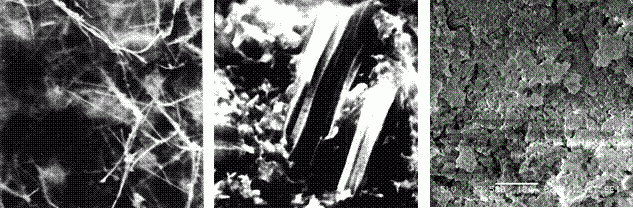 Яковлев Г.И., Плеханова Т.А., Лопаткин И.Г., Керене Я. - Магнезиальное вяжущее, модифицированное Яковлев Г.И., Плеханова Т.А., Лопаткин И.Г., Керене Я. - Магнезиальное вяжущее, модифицированное
